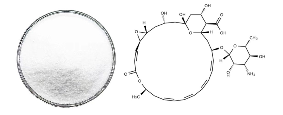 introduction of natamycin