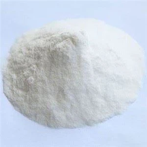 Comprimé d'alpurinol