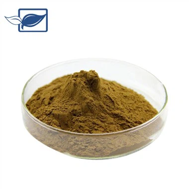 Poudre de Turkestérone Naturelle